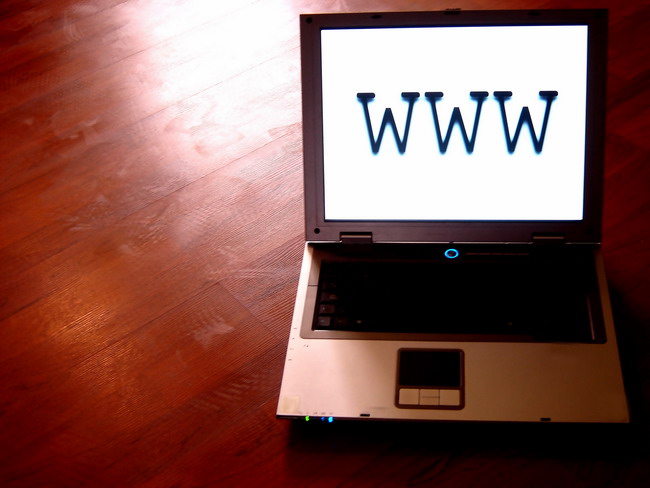 busqueda-web-www