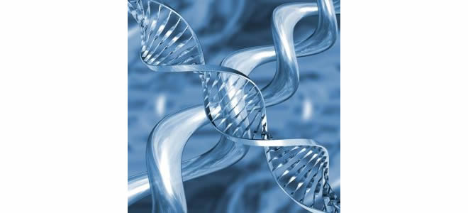 genome